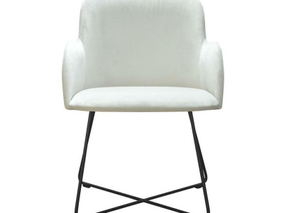 1x Esszimmerstuhl Küchenstühle Wohnzimmerstuhl Polsterstuhl mit Armlehne